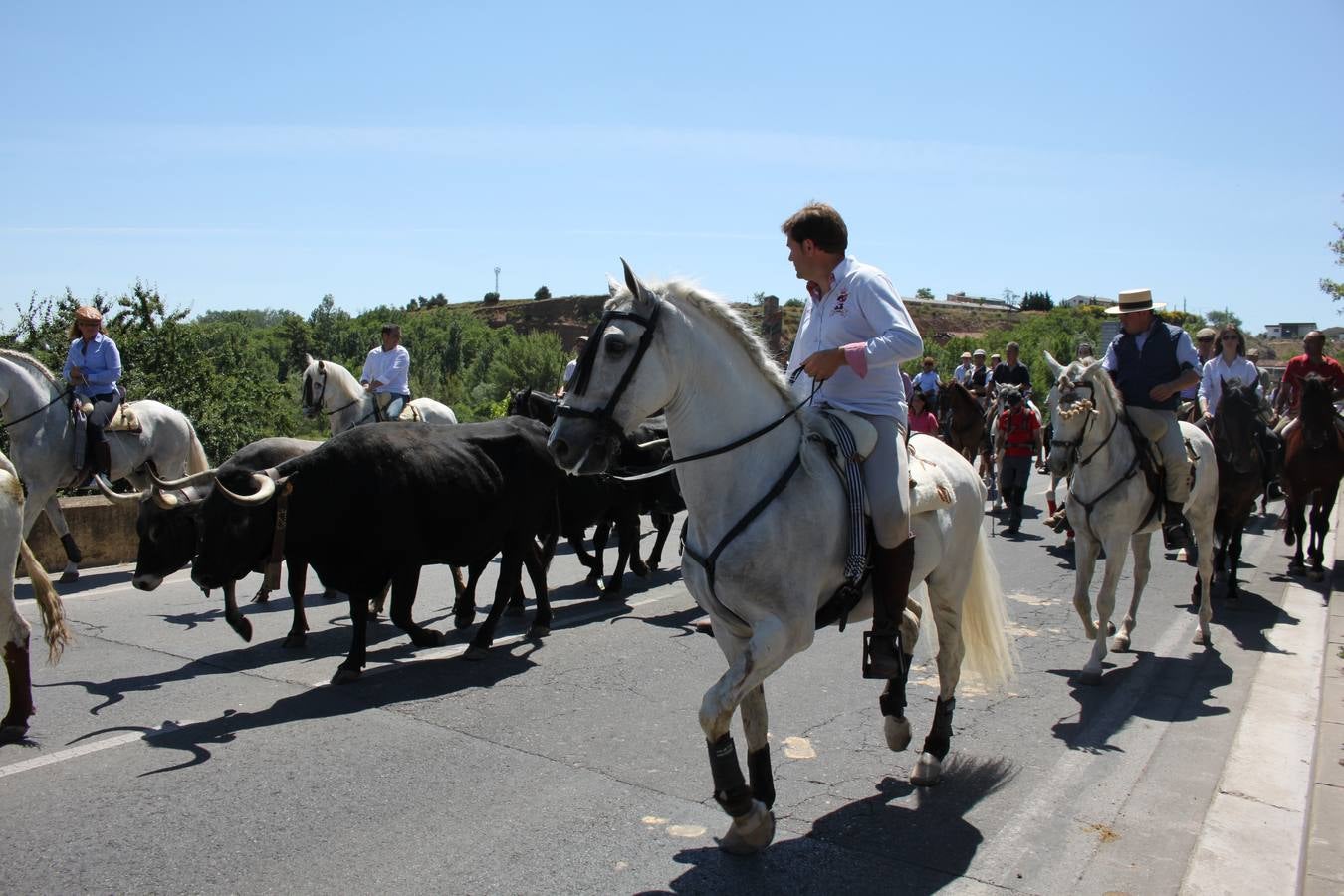 Fiesta de la trashumancia en Arnedo