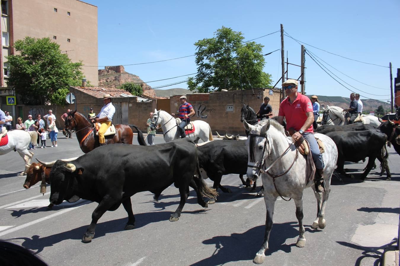 Fiesta de la trashumancia en Arnedo