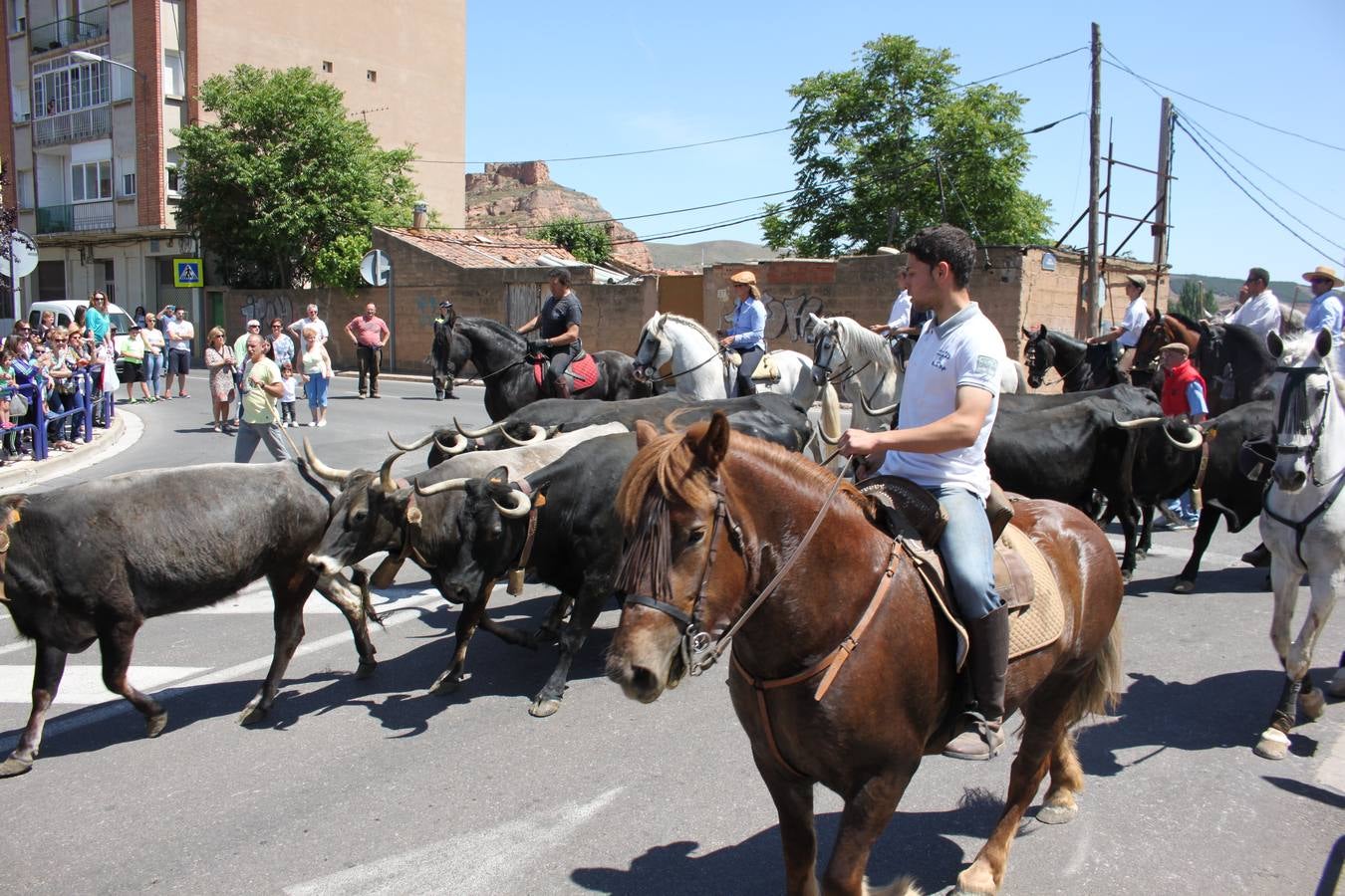 Fiesta de la trashumancia en Arnedo