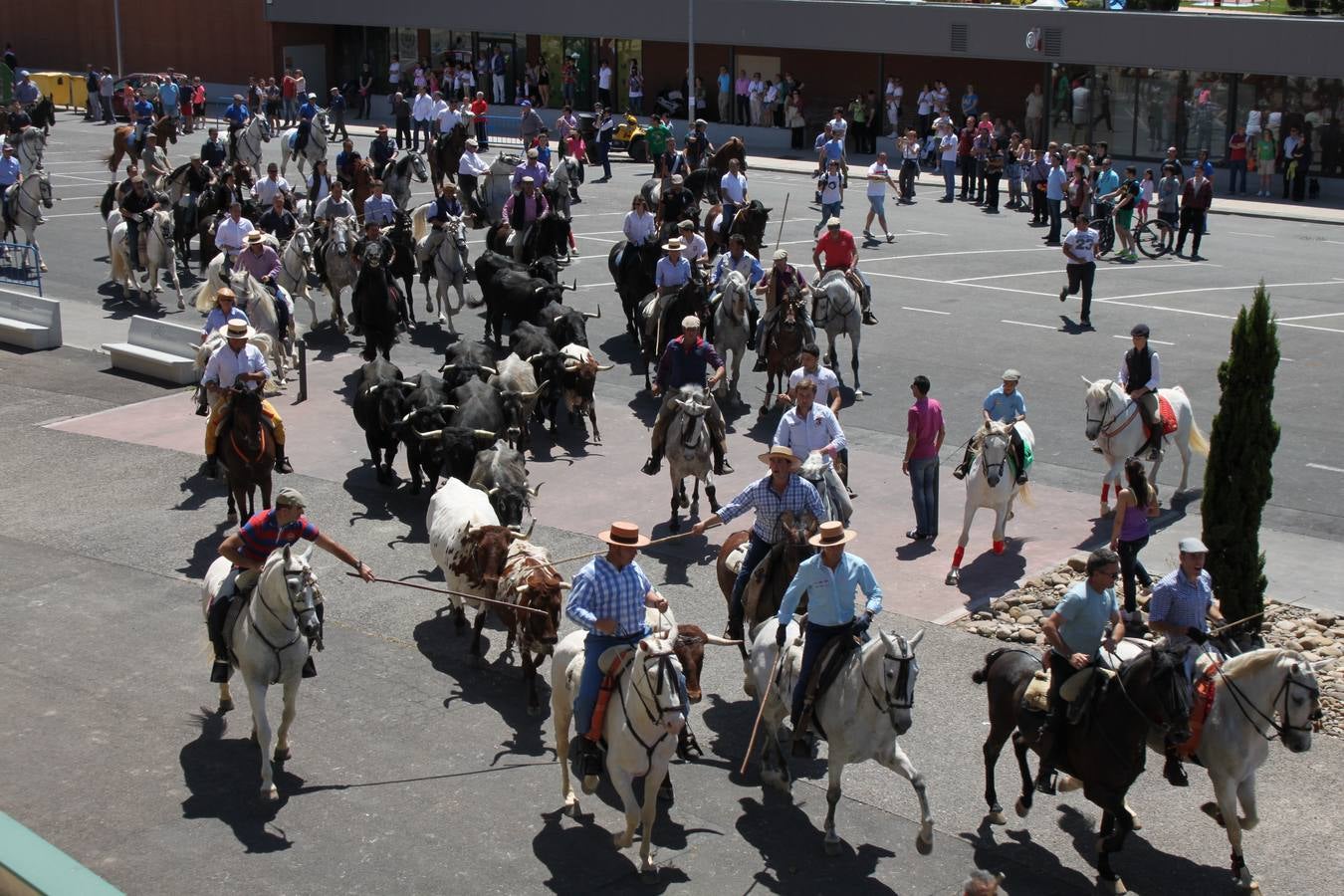 Fiesta de la trashumancia en Arnedo