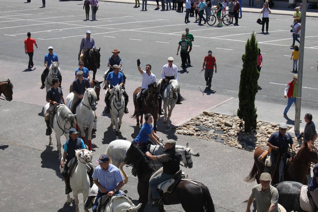 Fiesta de la trashumancia en Arnedo