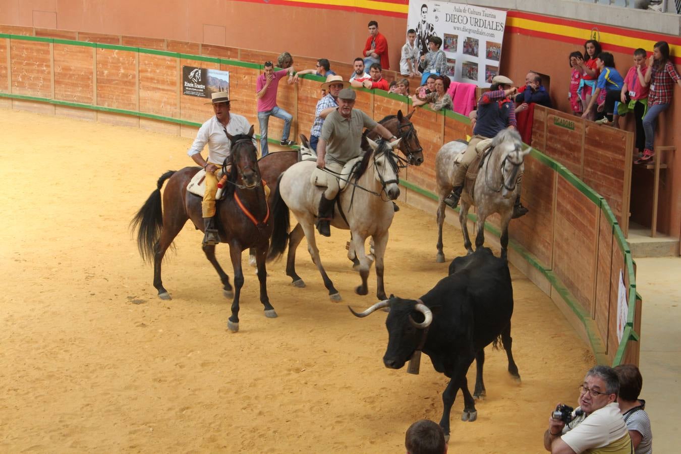 Fiesta de la trashumancia en Arnedo