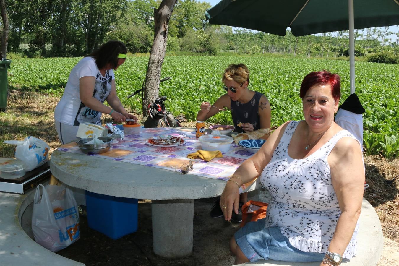 Romería a la ermita de Las Abejas en Santo Domingo