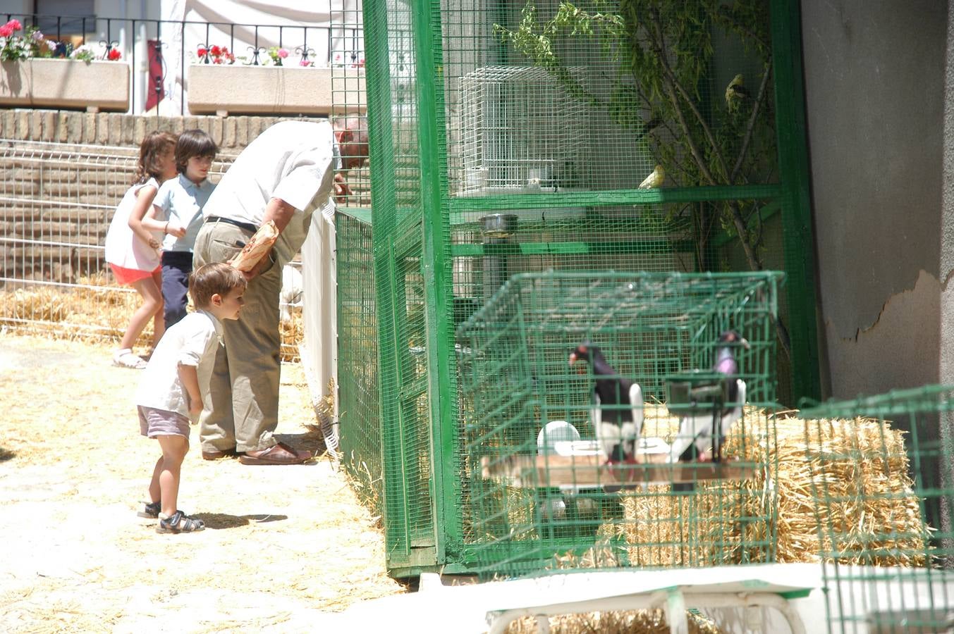 Cervera celebra la V edición de la Feria de las Tres Culturas