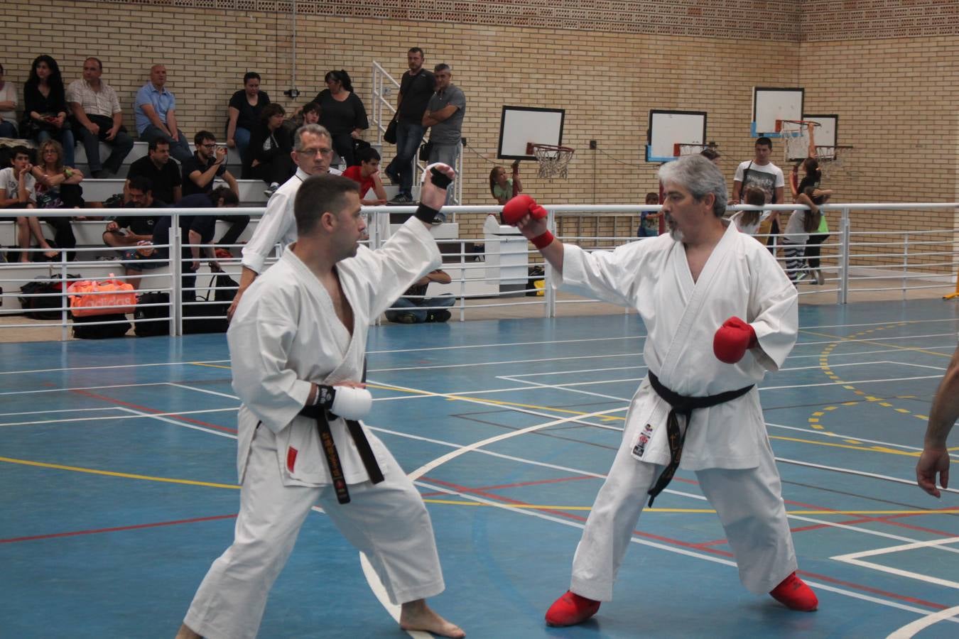 XII Campeonato de España de Karate Wuko en Alfaro