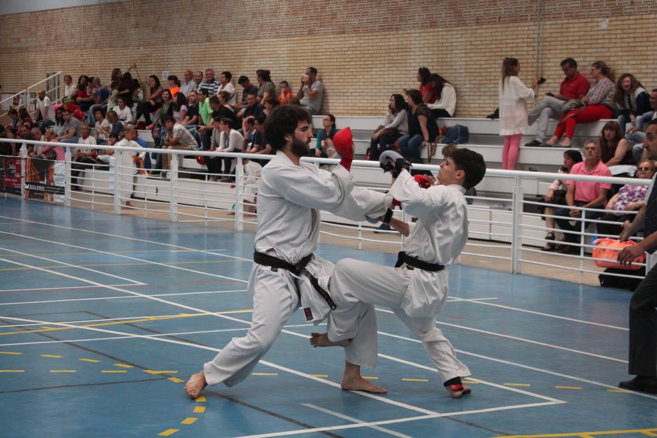 XII Campeonato de España de Karate Wuko en Alfaro