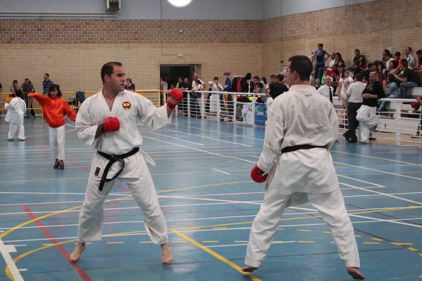 XII Campeonato de España de Karate Wuko en Alfaro