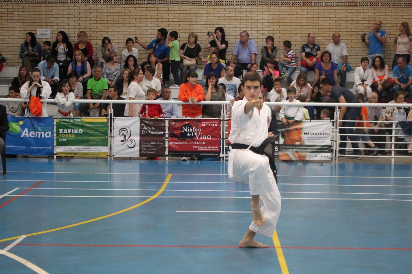 XII Campeonato de España de Karate Wuko en Alfaro