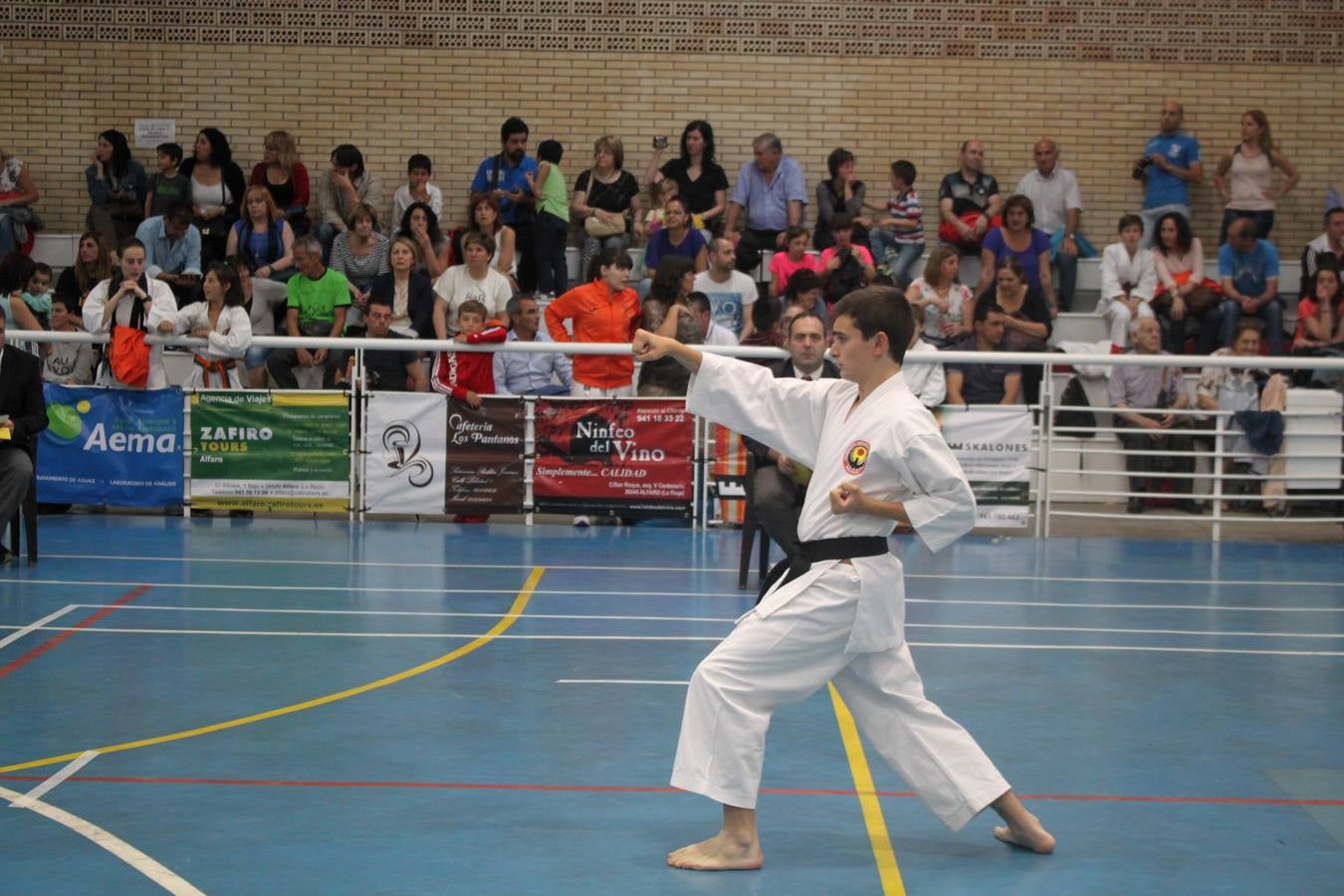 XII Campeonato de España de Karate Wuko en Alfaro