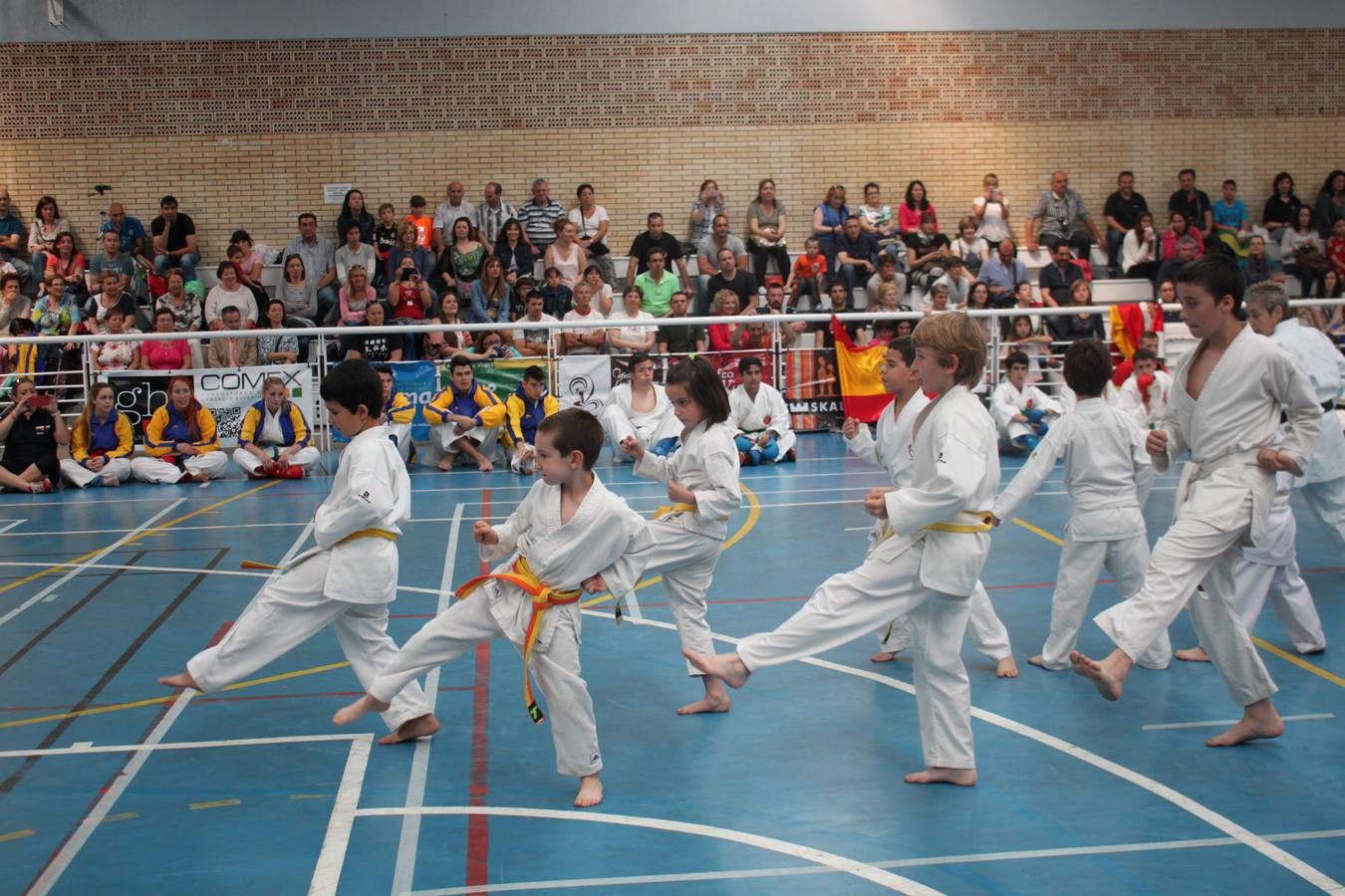 XII Campeonato de España de Karate Wuko en Alfaro