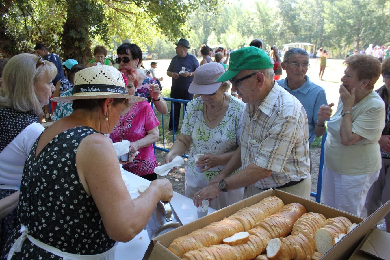 Arnedo: Romería de San Juan a Vico