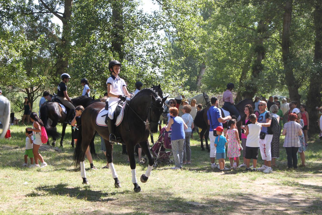 Arnedo: Romería de San Juan a Vico