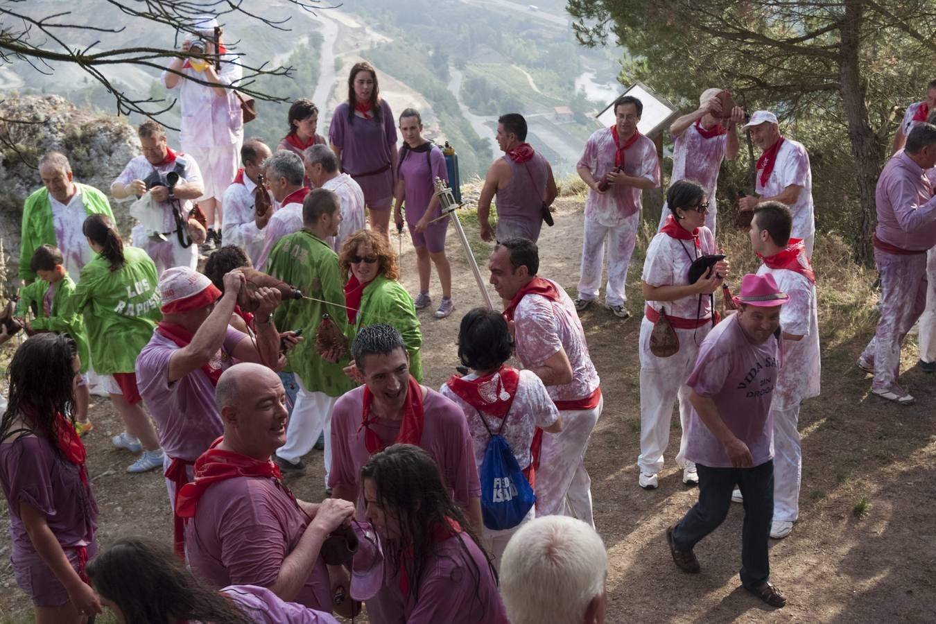 La Batalla del vino 2015 (2)