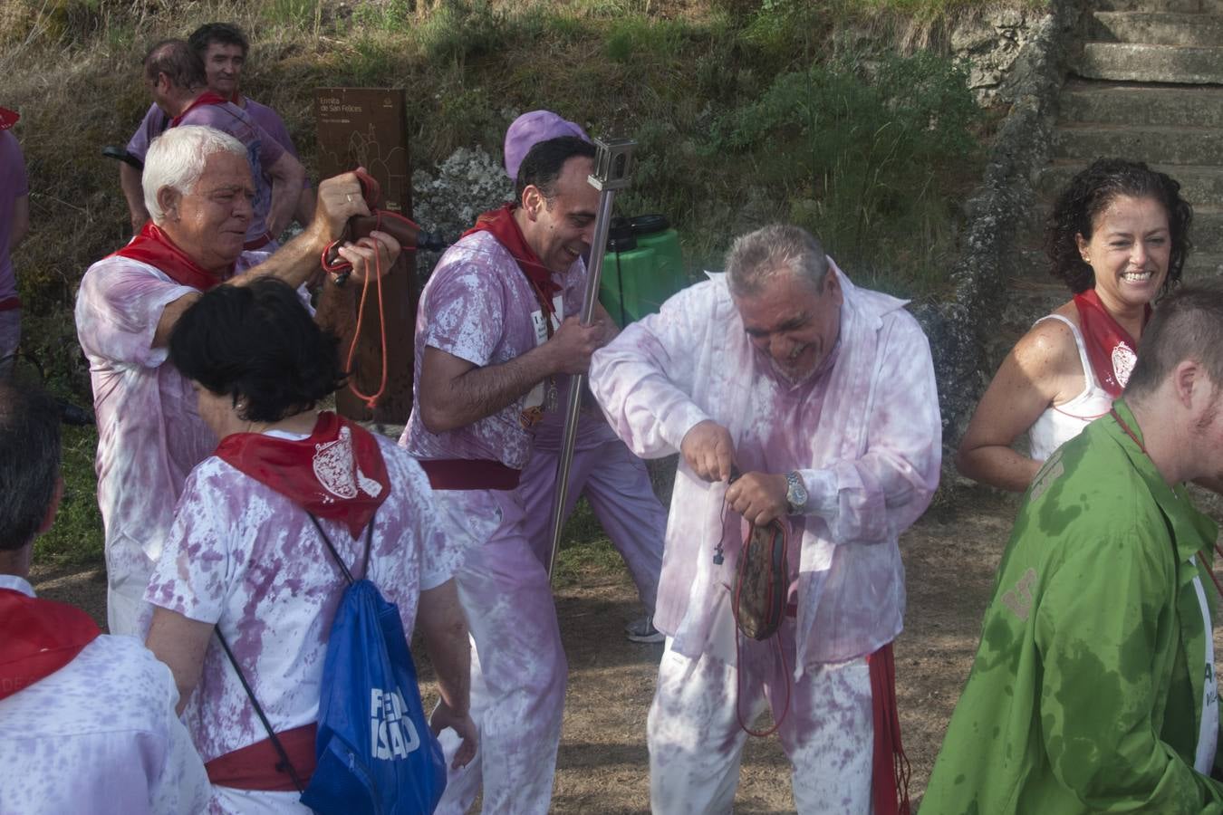 La Batalla del vino 2015 (2)