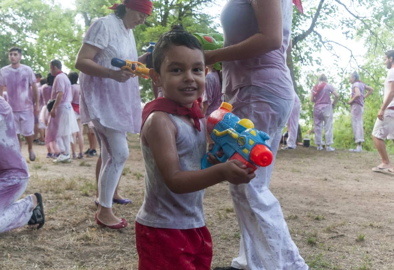 La Batalla del vino 2015 (2)