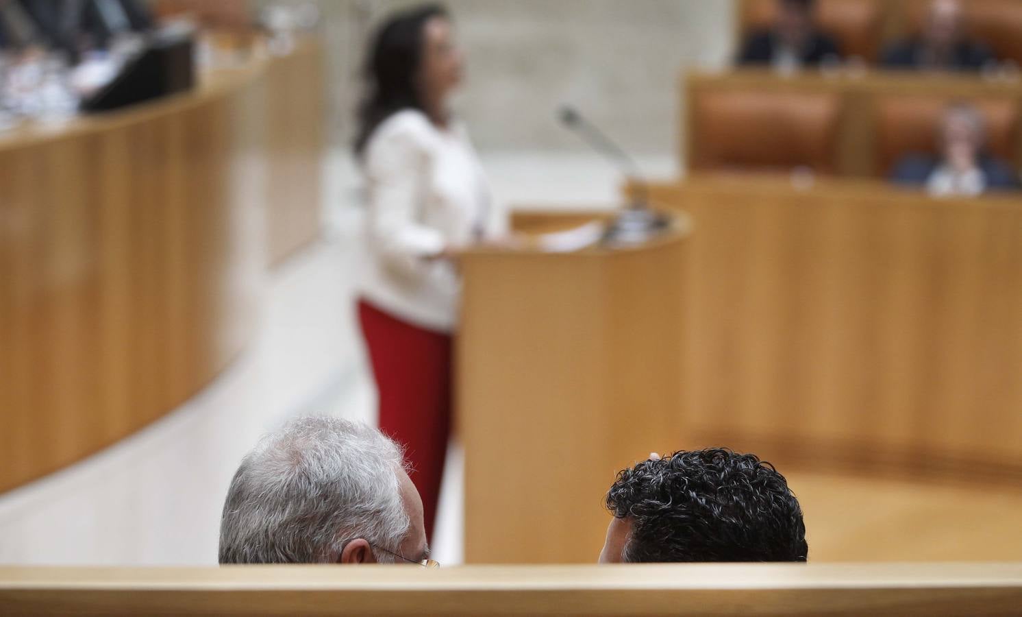 Ceniceros pierde la primera votación en el Parlamento riojano