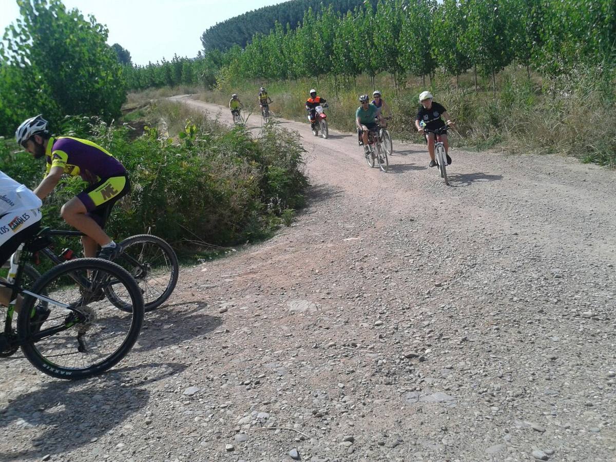 Día de la bicicleta en Alfaro