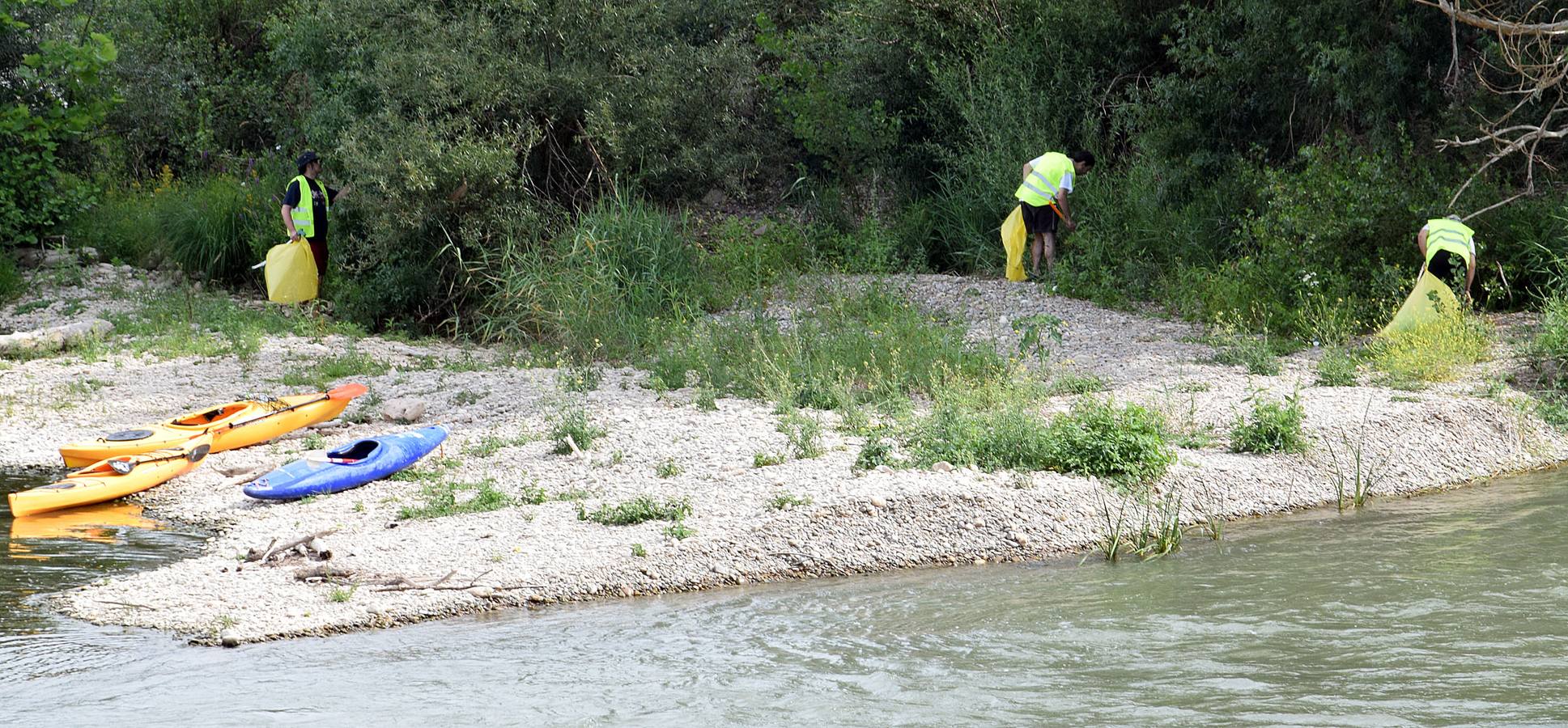 Voluntarios limpian el Ebro