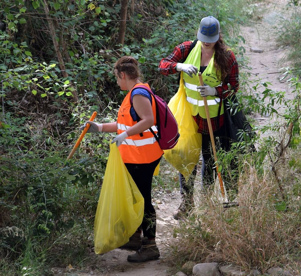 Voluntarios limpian el Ebro