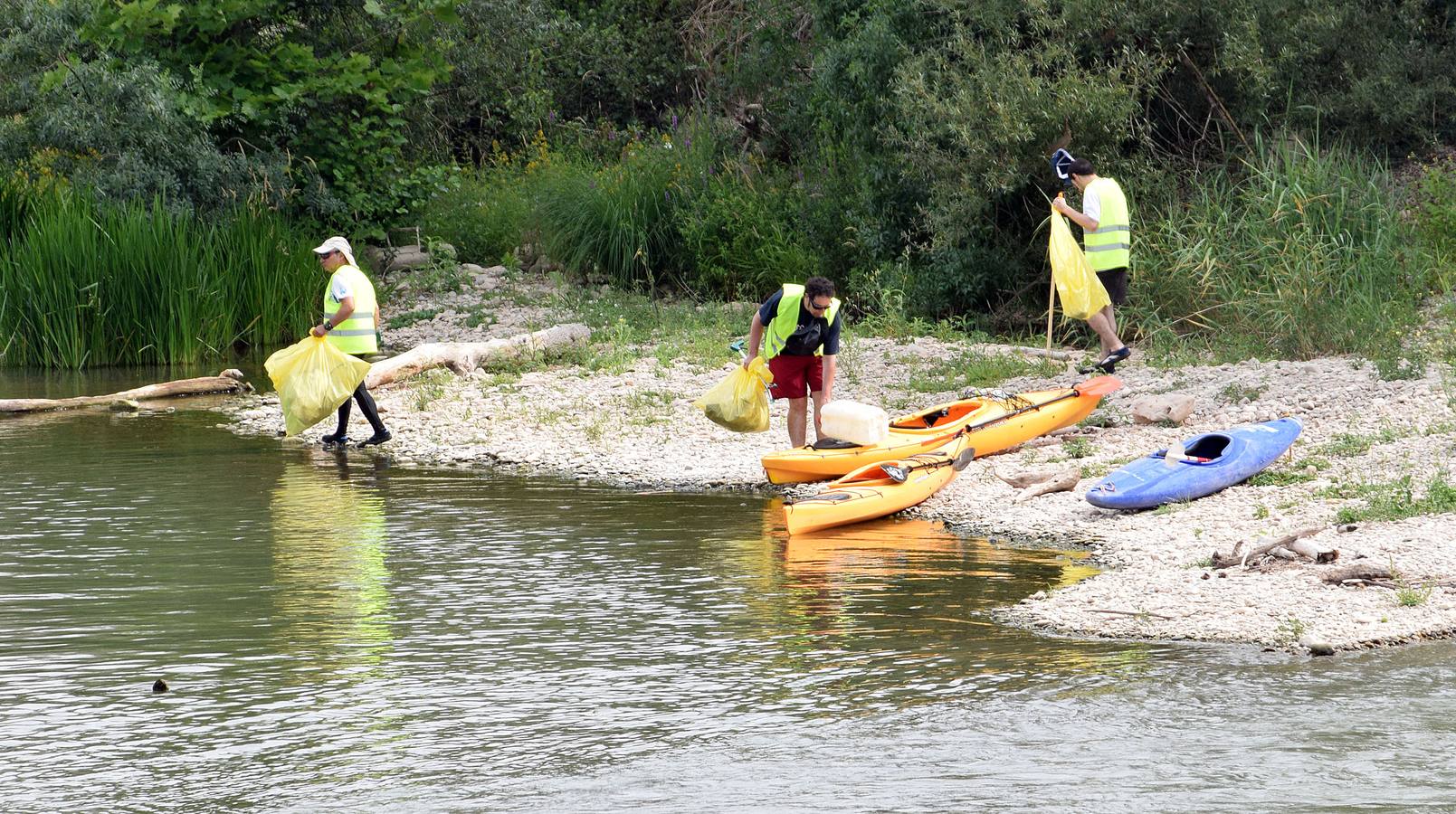 Voluntarios limpian el Ebro