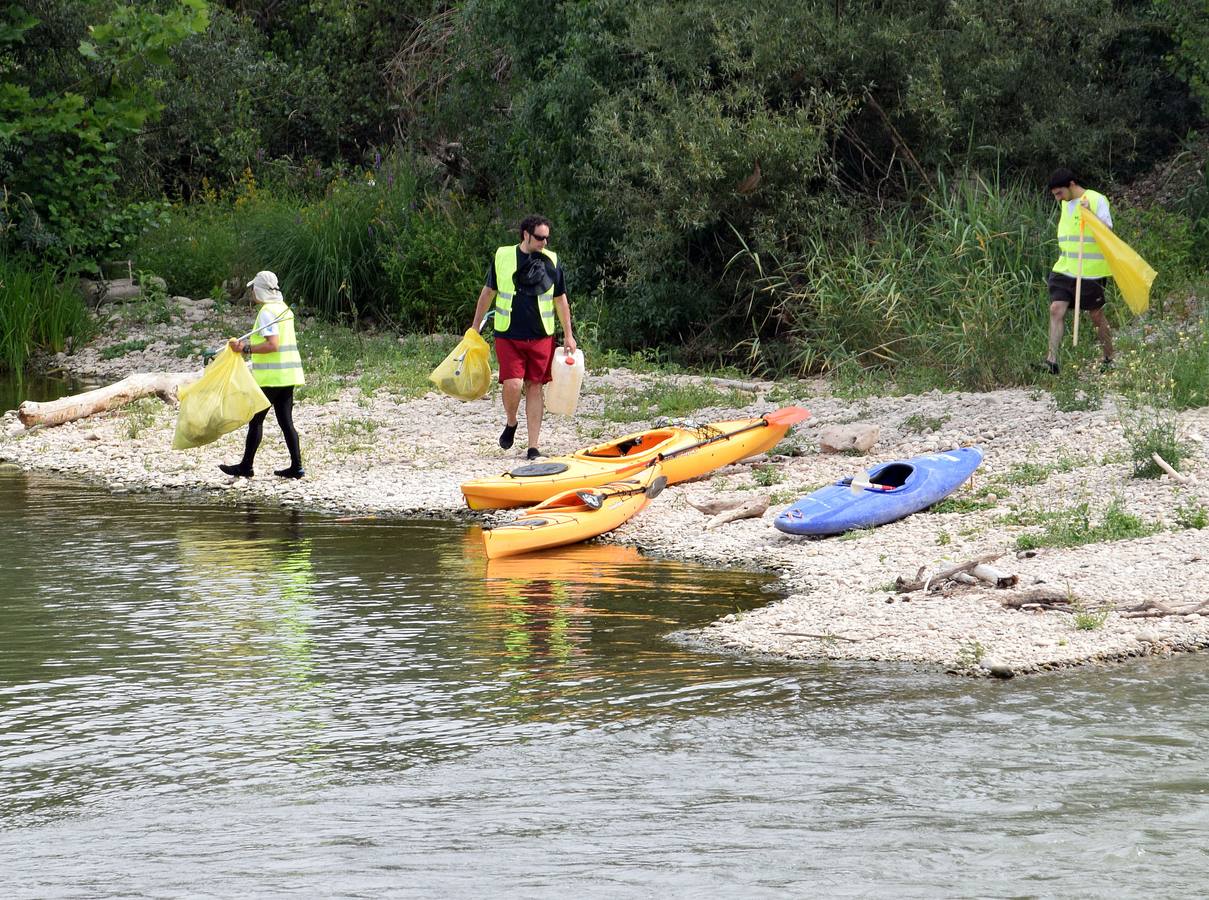 Voluntarios limpian el Ebro