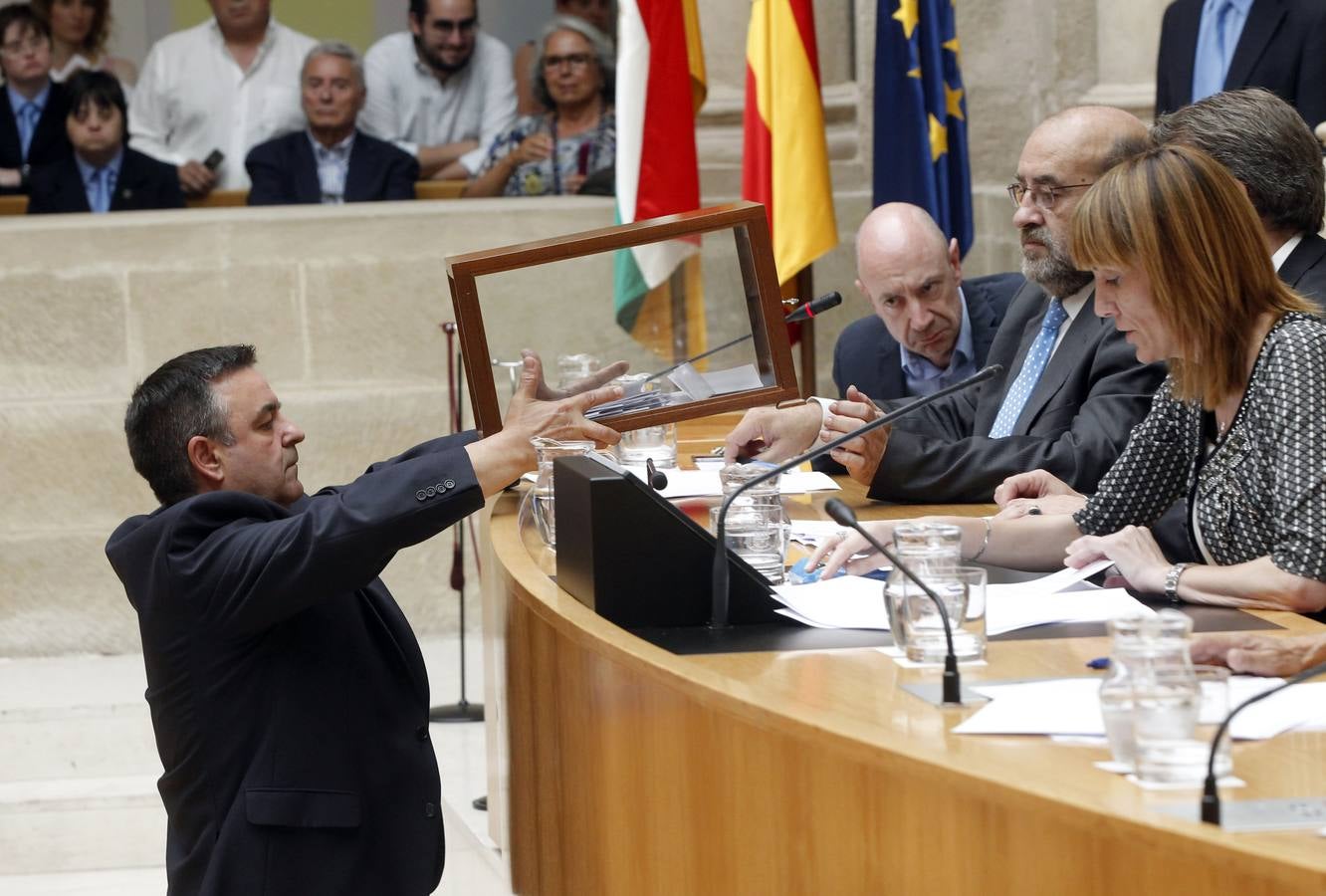 Pedro Sanz es elegido senador