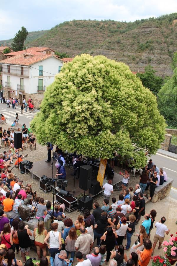 Segunda jornada del III Cameros Blues Festival de Laguna de Cameros