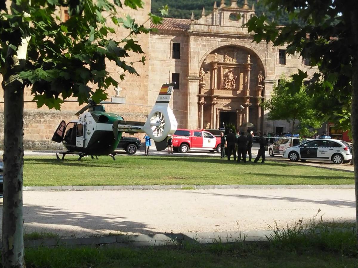 Olmos y Robles... ahora en San Millán