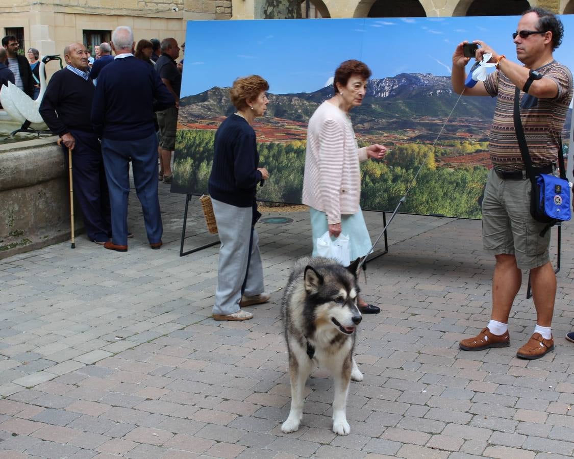 Las Noches de San Lorenzo en San Vicente de la Sonsierra