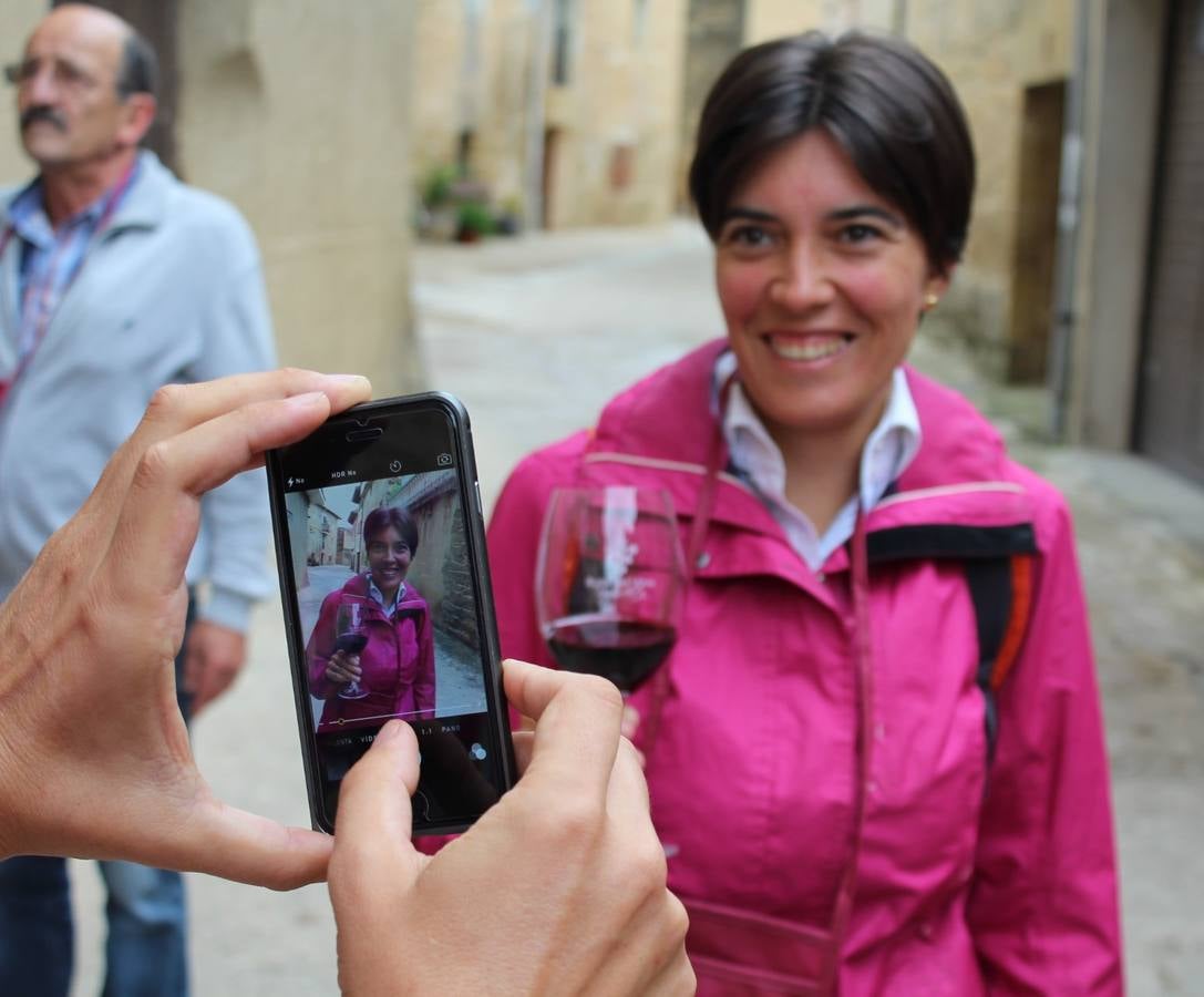 Las Noches de San Lorenzo en San Vicente de la Sonsierra