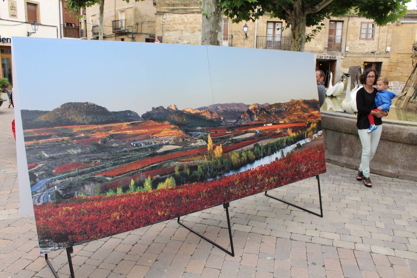 Las Noches de San Lorenzo en San Vicente de la Sonsierra