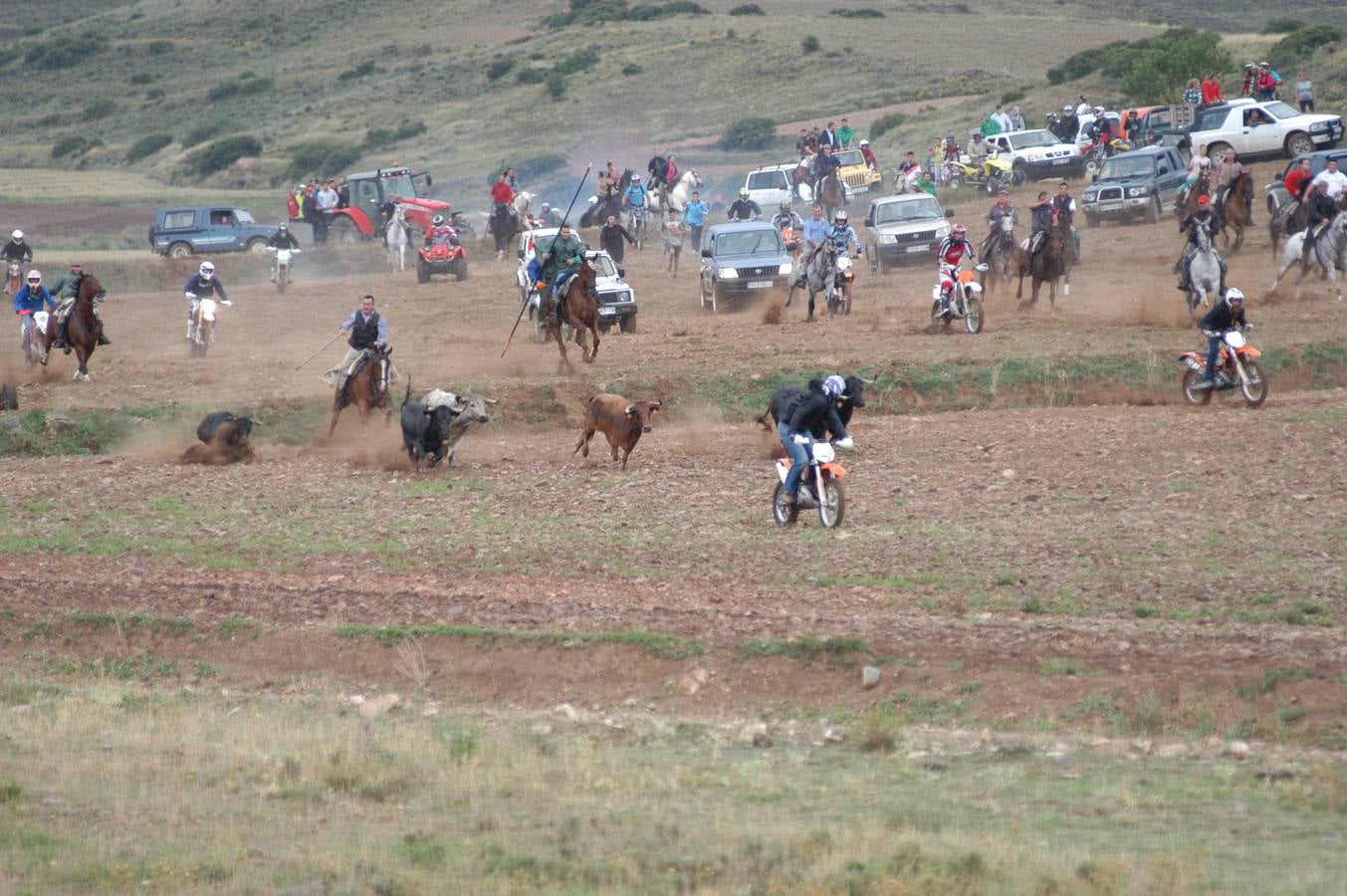 Entrada de vacas en Valverde