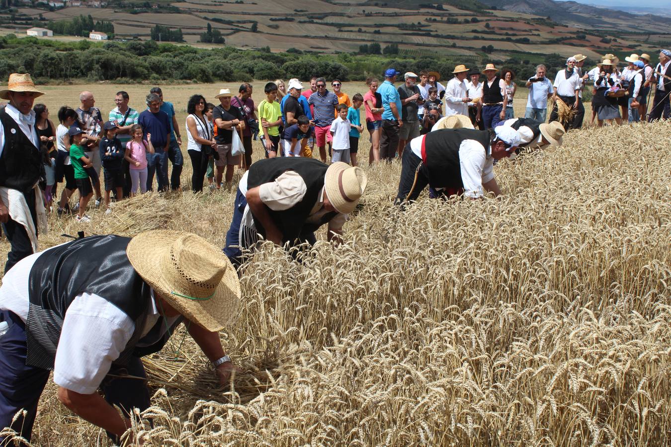 La molienda en el valle de Ocón