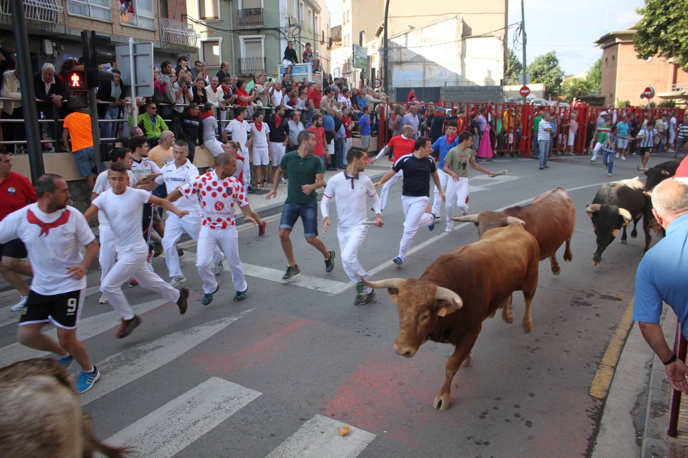 ¡Toros a mí!