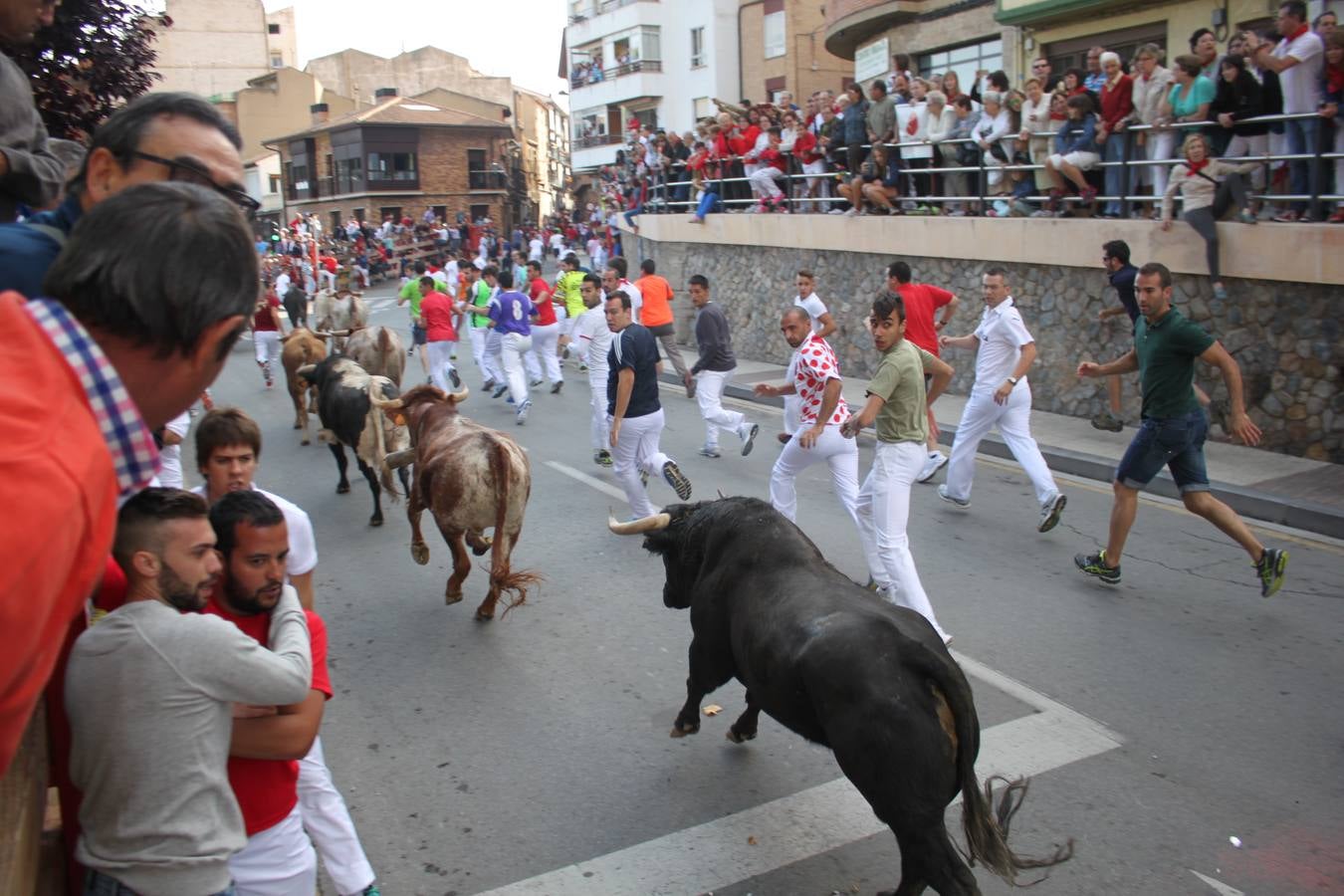 ¡Toros a mí!