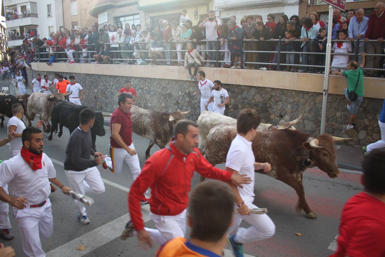 ¡Toros a mí!