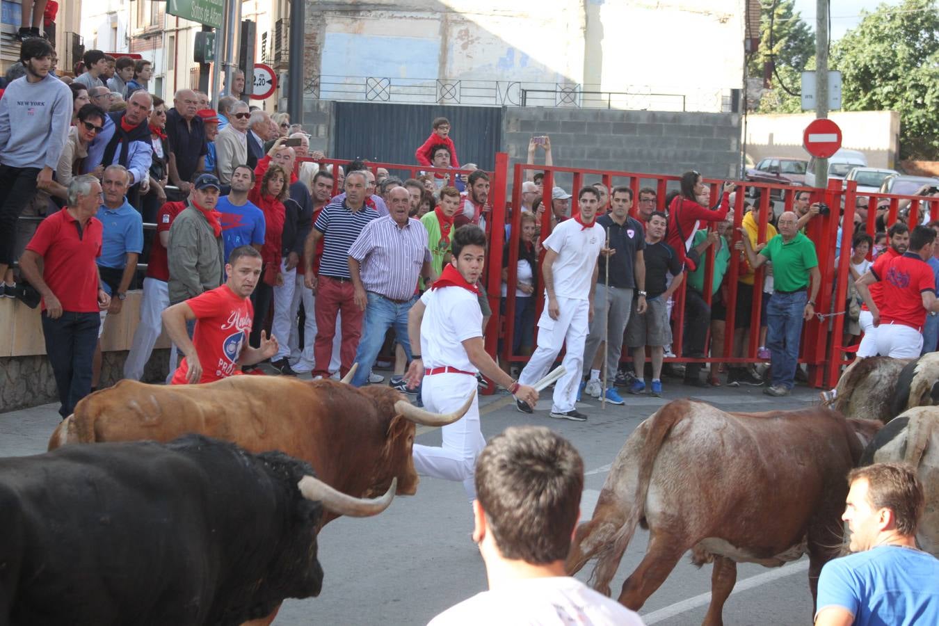 ¡Toros a mí!