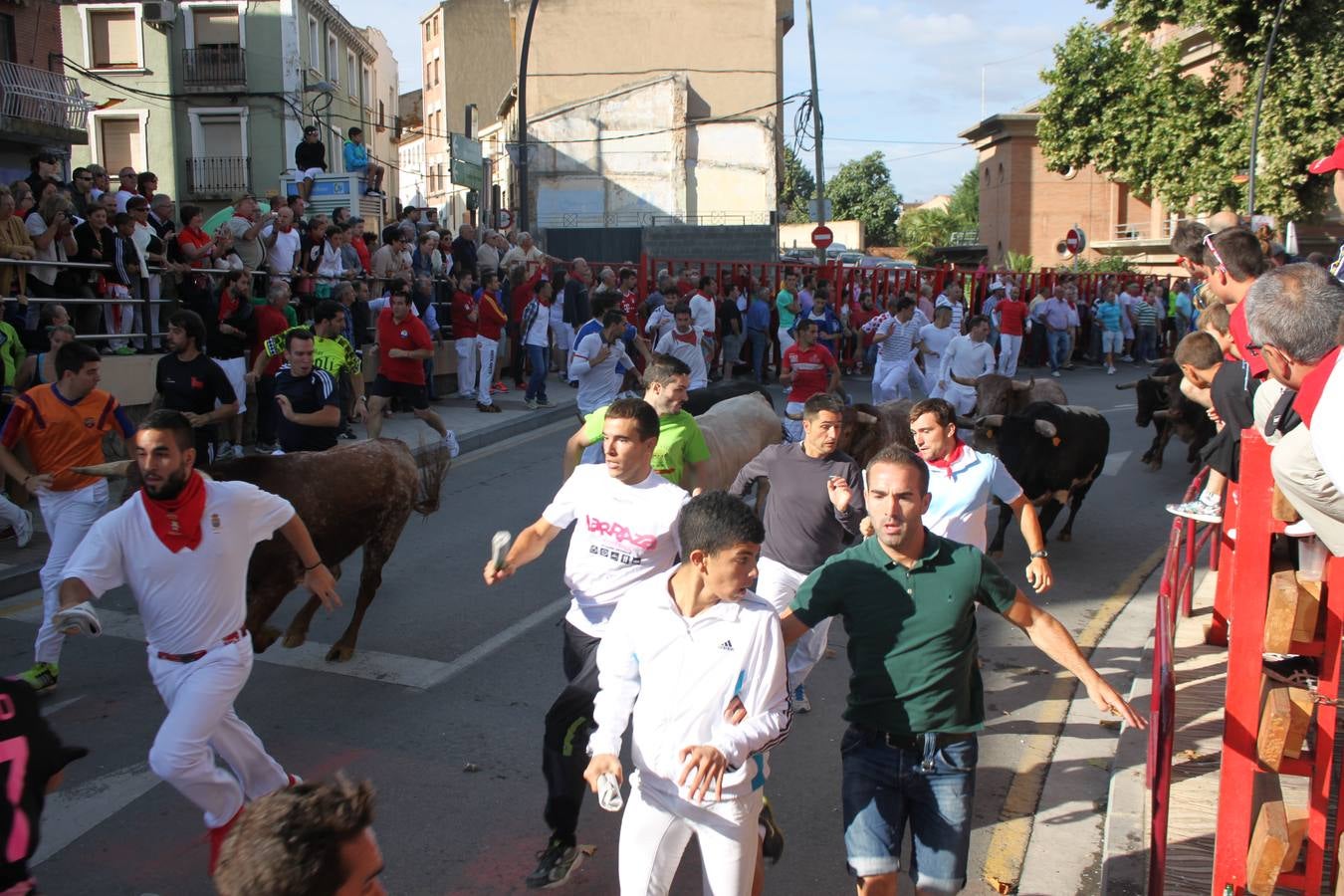 ¡Toros a mí!