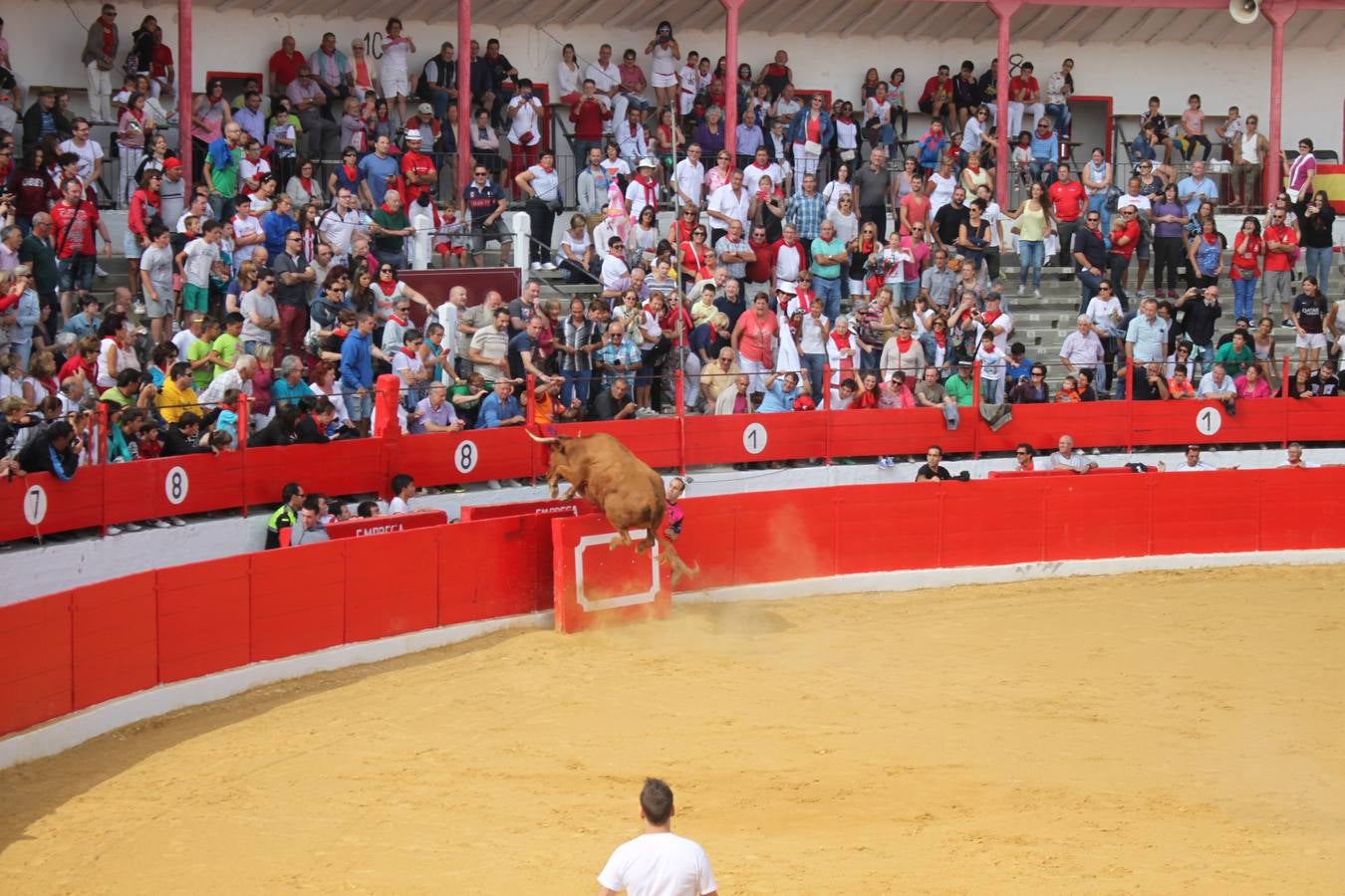 ¡Toros a mí!