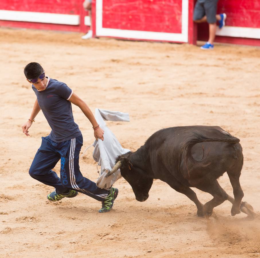 Sorteando vaquillas