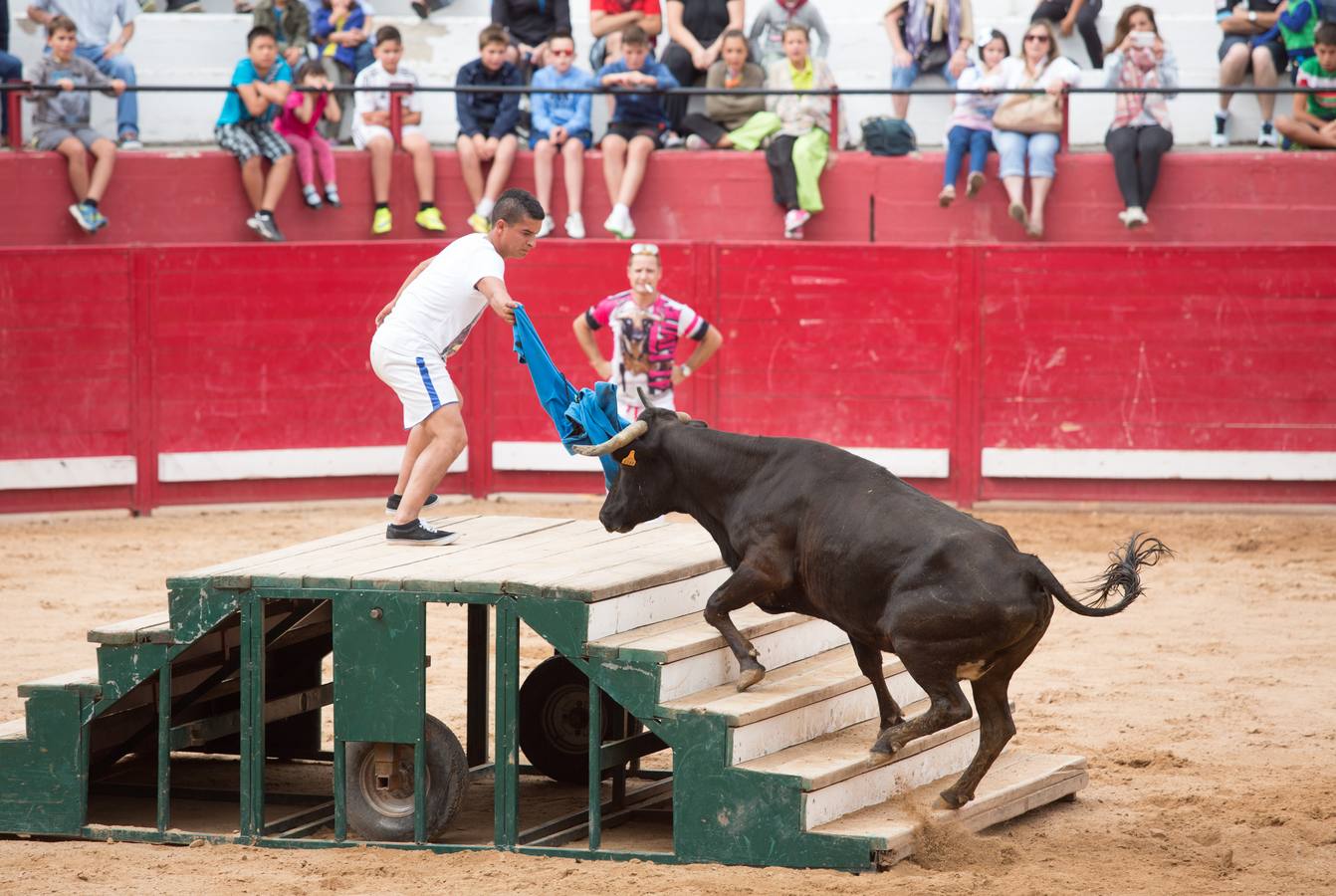 Sorteando vaquillas