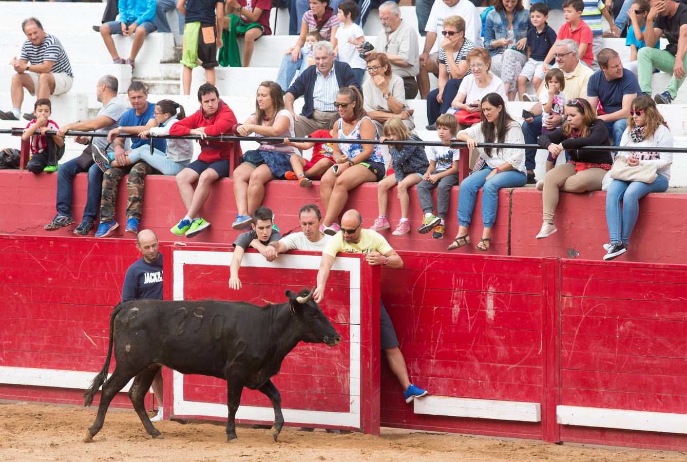 Sorteando vaquillas