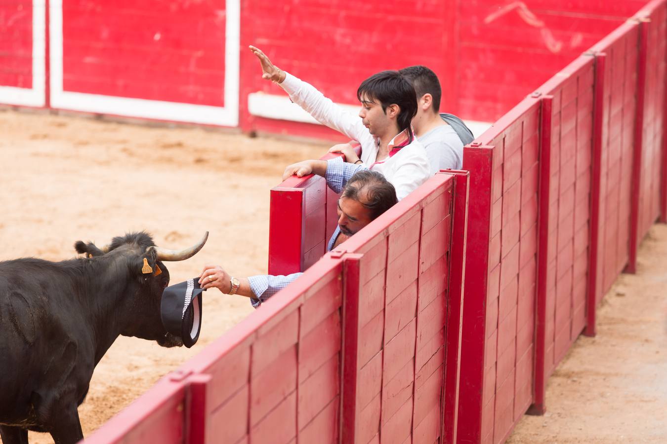 Sorteando vaquillas