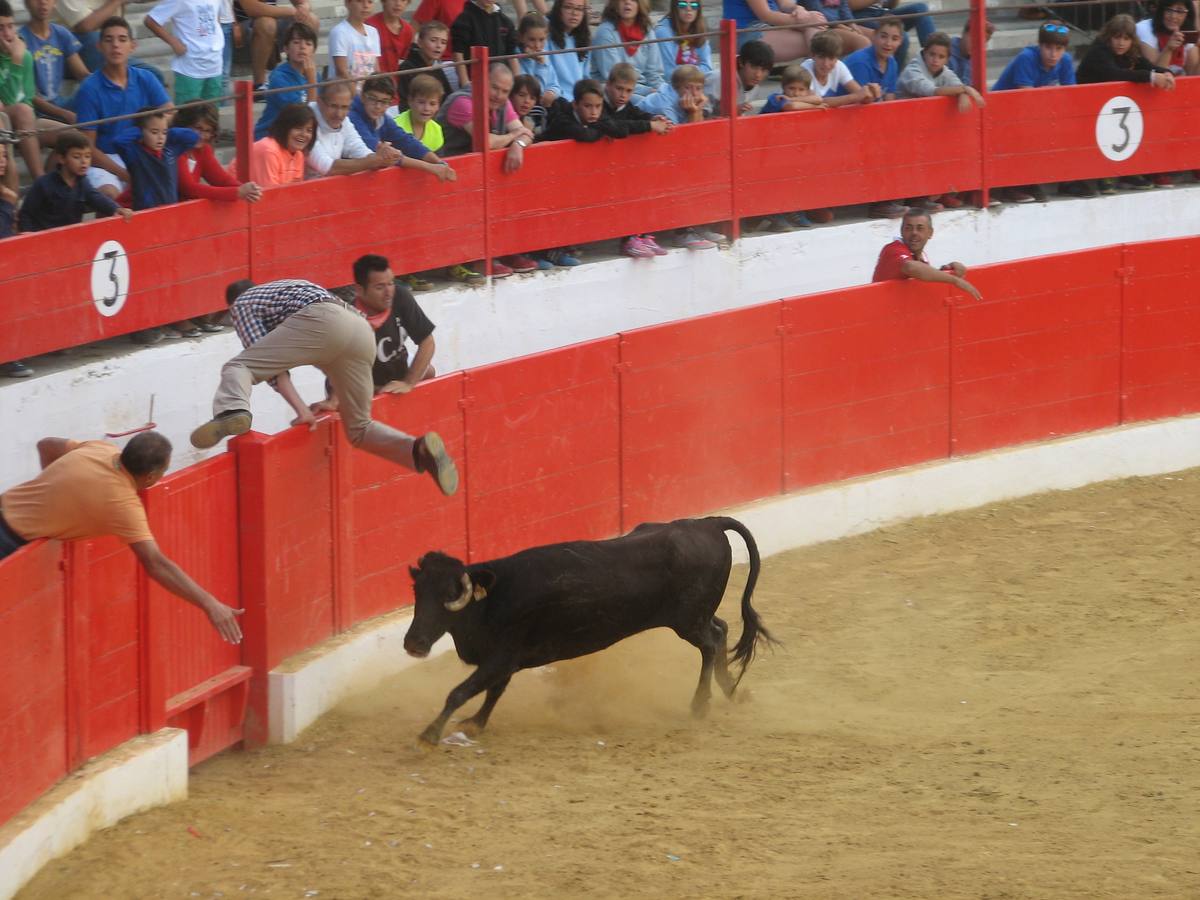 Los mayores centran el cuatro día de fiestas de Alfaro