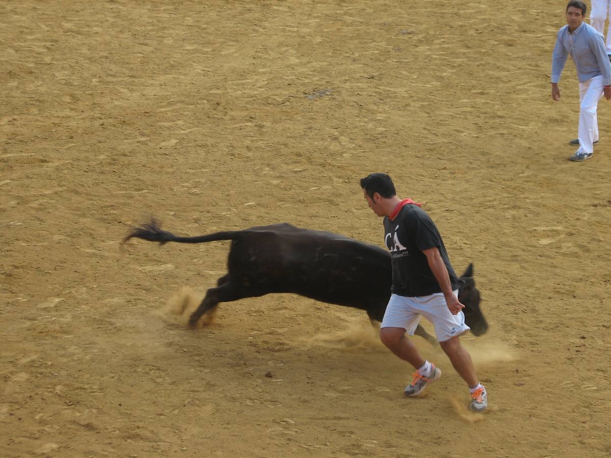 Los mayores centran el cuatro día de fiestas de Alfaro