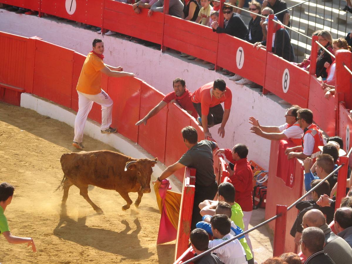 Los mayores centran el cuatro día de fiestas de Alfaro