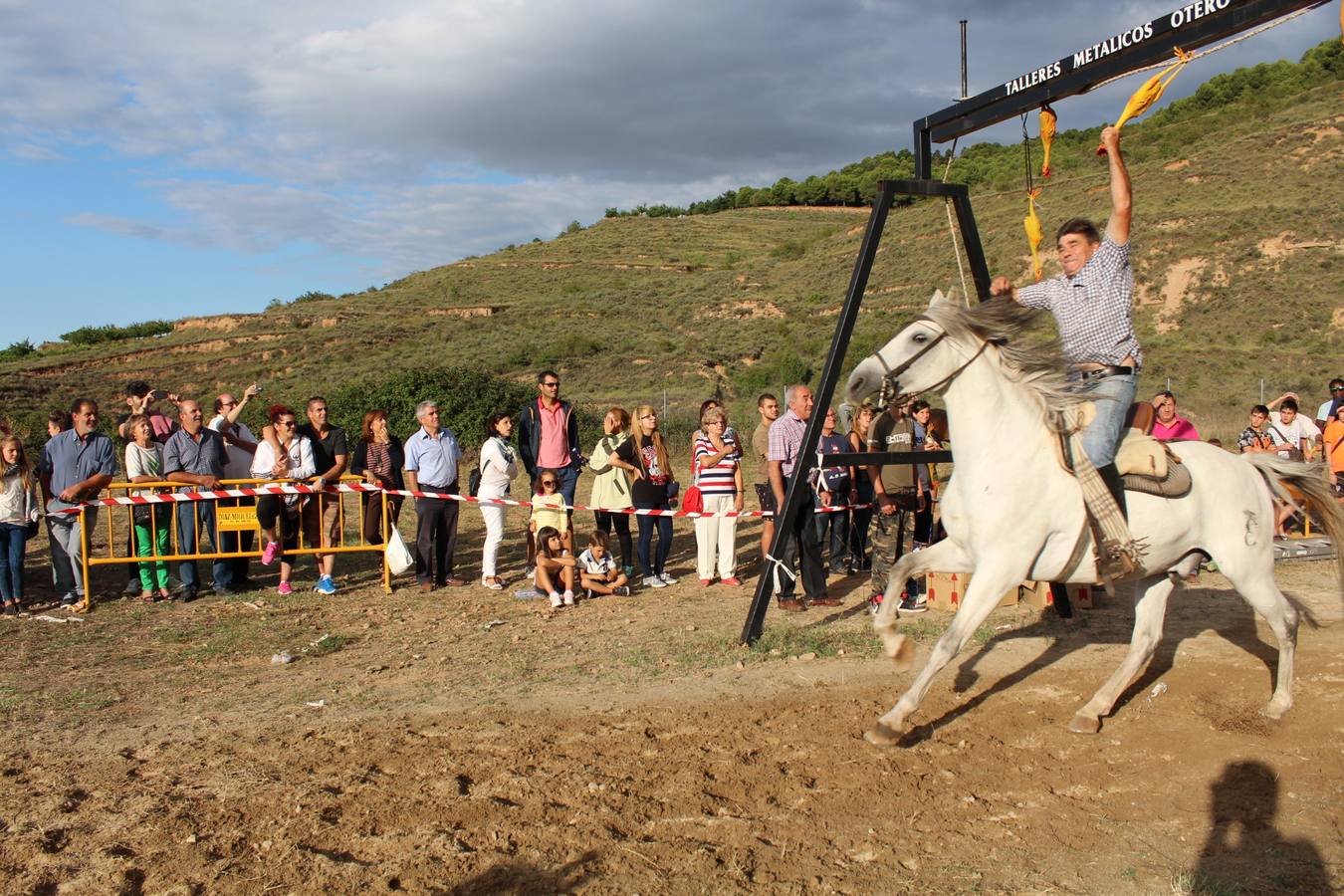 Los jinetes más &#039;gallitos&#039;