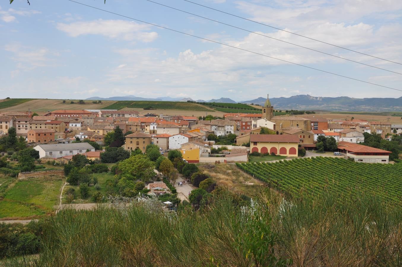 Día de los calaos en Rodezno
