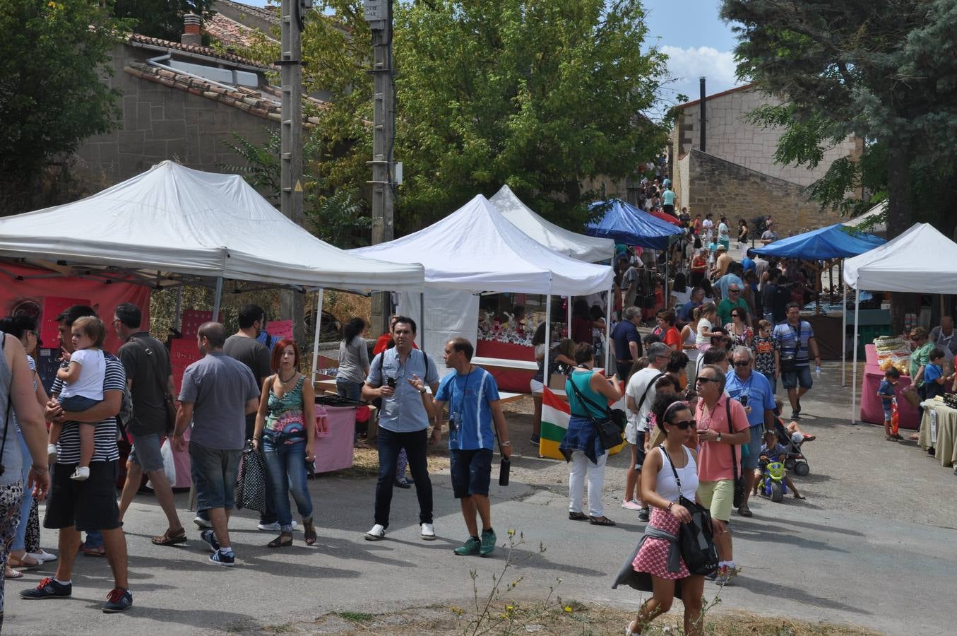 Día de los calaos en Rodezno