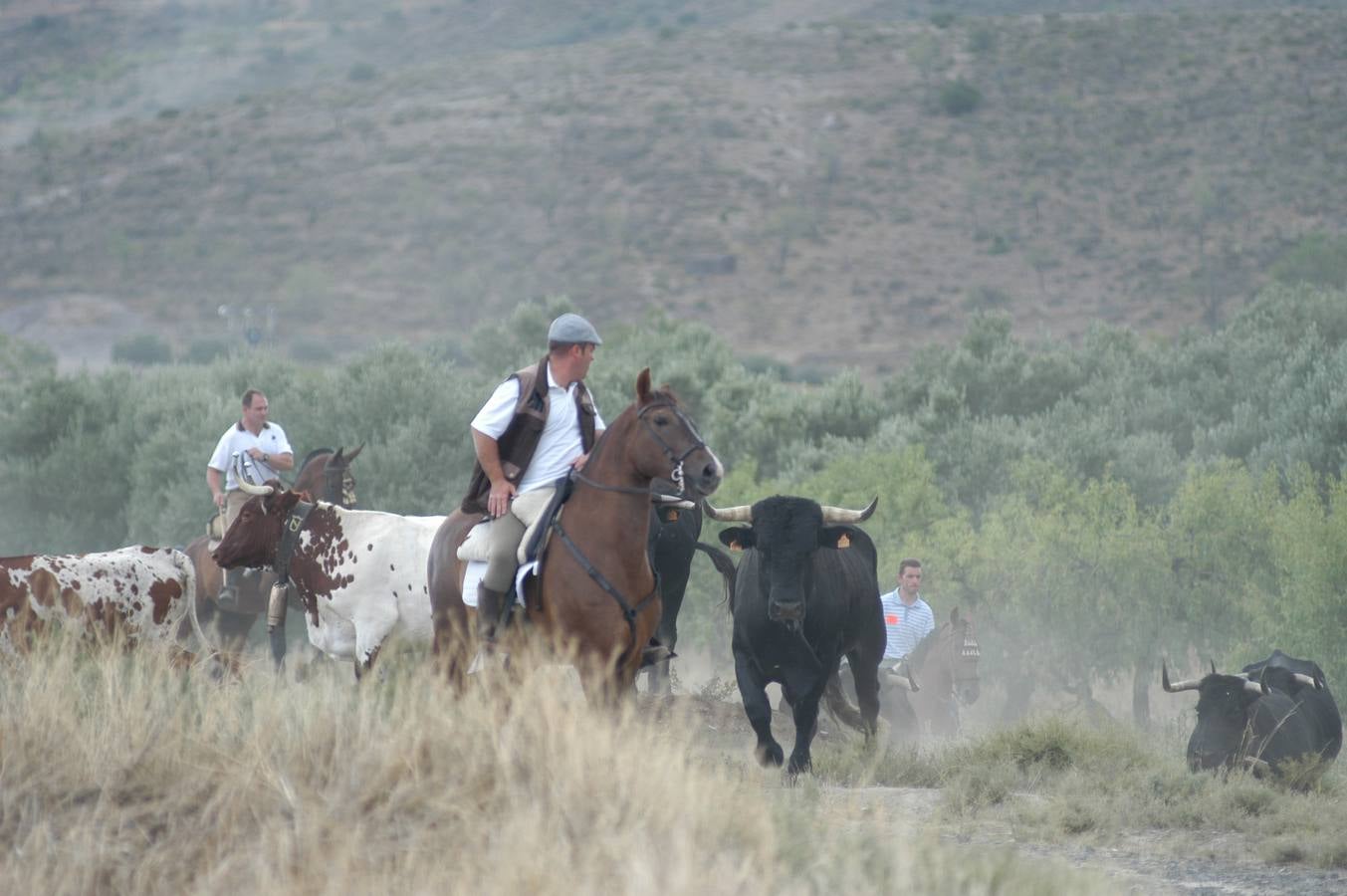 III Fiesta de la Trashumancia Villa de Igea